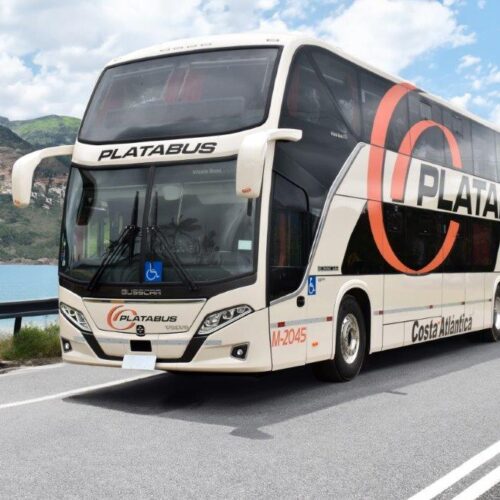 Platabus