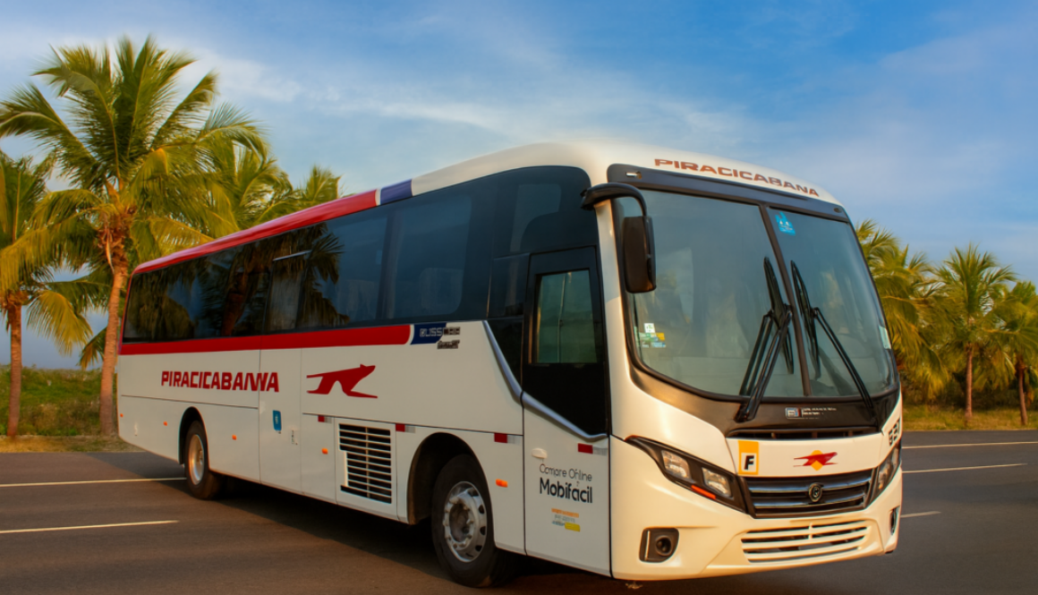 ChatGPT Image 11 de dez. de 2025, 15_33_28