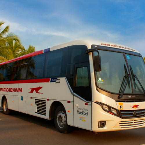 ChatGPT Image 11 de dez. de 2025, 15_33_28