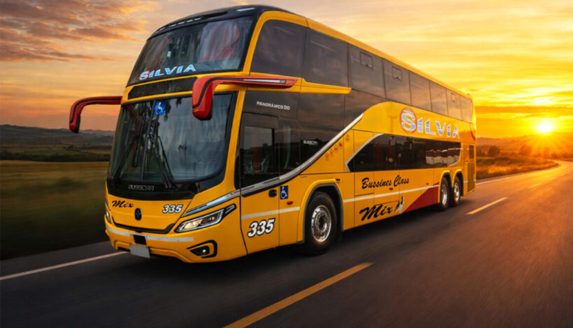 post_Silvia-PAN-DD-1