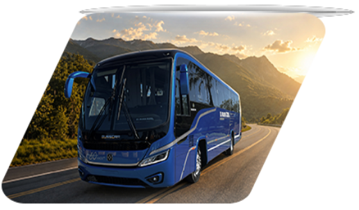 EL BUSS 325 NB1 